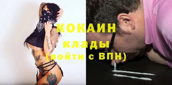 твердый Аркадак