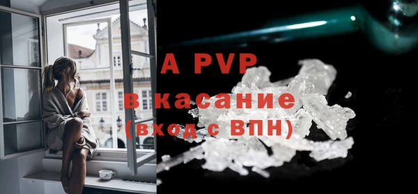 твердый Аркадак