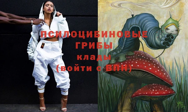 твердый Аркадак