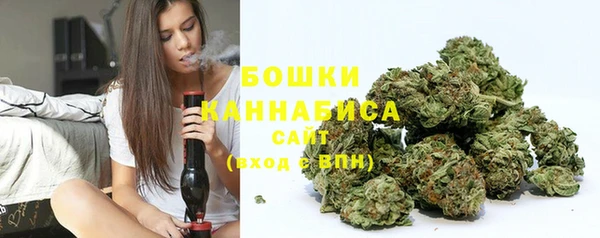 твердый Аркадак